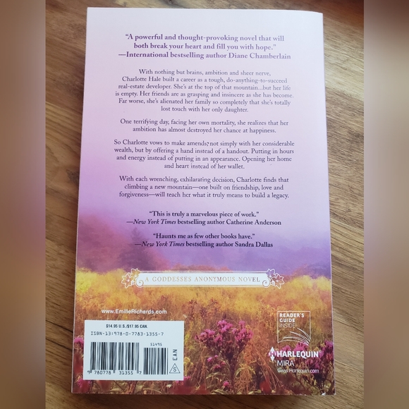 BOOK BUNDLE - ONE MOUNTAIN AWAY & SONGS WITHOUT BIRDS - FICTION - 2 TOTAL - Picture 4 of 11